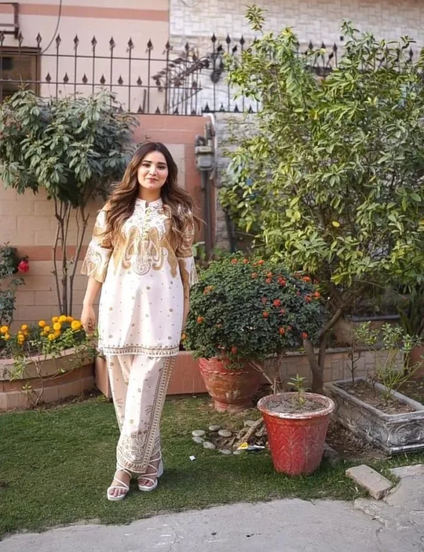 2 Pcs Women's Stitched Swiss Lawn Printed Shirt And Trouser