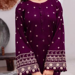 2 Pcs Women’s Unstitched Embroidered Suit