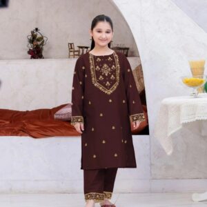 2 Pcs Girl’s Linen Embroidered Kurta And Trouser
