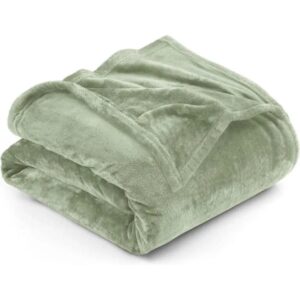 2 Pcs Fleece Plain Single Bedsheet