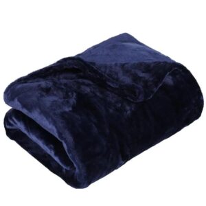 2 Pcs Fleece Plain Single Bedsheet