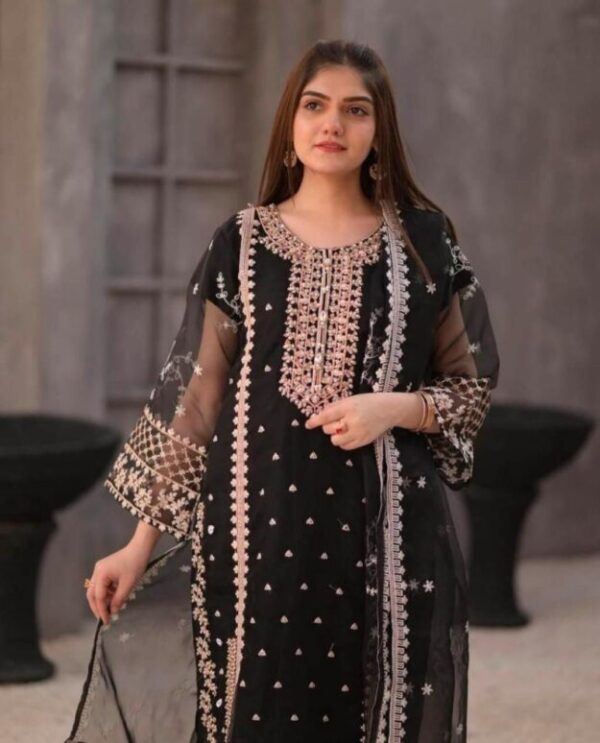 Embroidered Organza Suit Set - 3 Pcs in Black