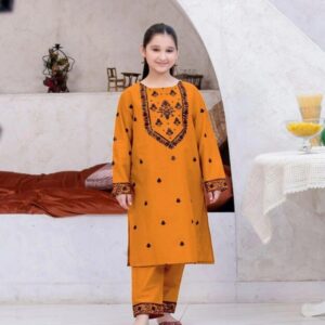 2 Pcs Girl’s Linen Embroidered Kurta And Trouser