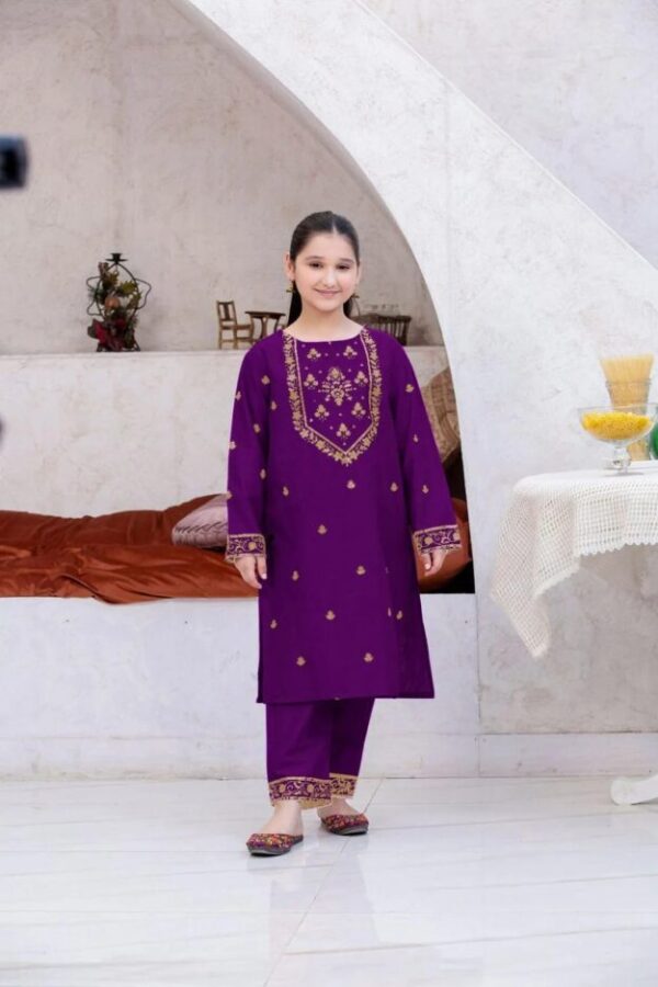 2 Pcs Girl's Linen Embroidered Kurta And Trouser