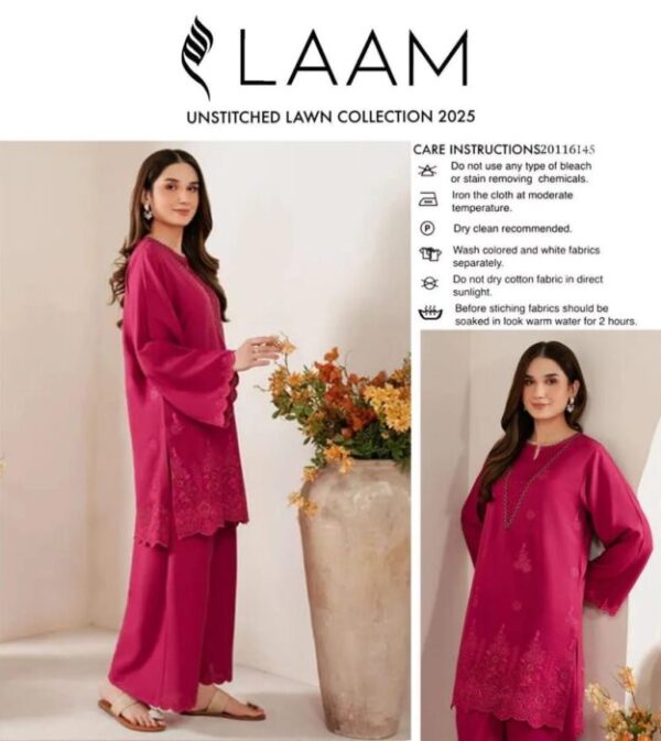 2 Pcs Women's Unstitched Chikankari Embroidered Suit