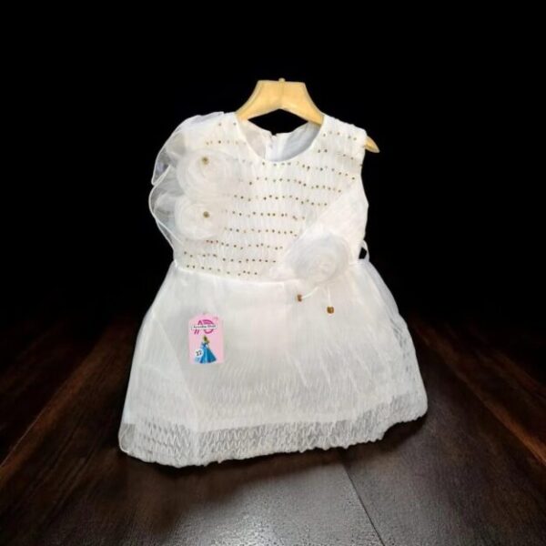 Stylish Collection Fancy 2 Pcs Girl Frock Wedding Party Wear