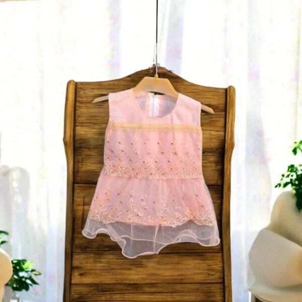 Stylish Collection New Baby Girl Fancy Frock 3 Month To 12 Month