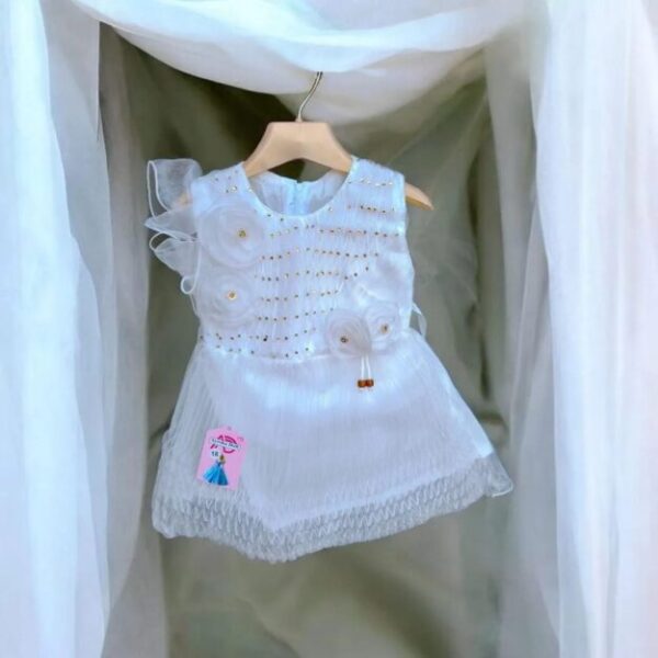 Stylish Collection Fancy 2 Pcs Girl Frock Wedding Party Wear