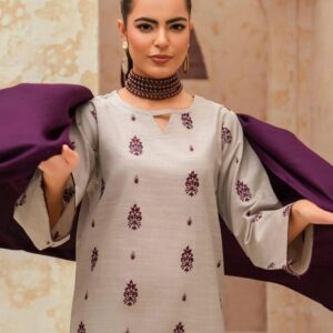 3 Pcs Women’s Unstitched Embroidered Suit