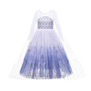 Halloween Aisha princess dress Frozen 2