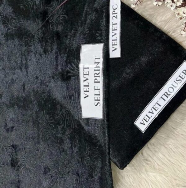 2 Pcs Women's Unstitched Printed Suit