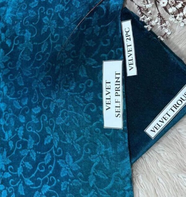 2 Pcs Women's Unstitched Printed Suit