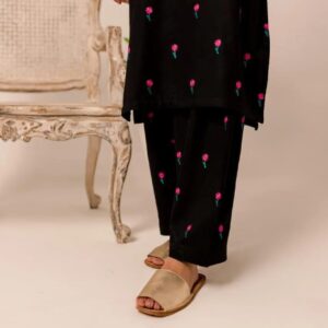 2 Pcs Women’s Unstitched Embroidered Suit