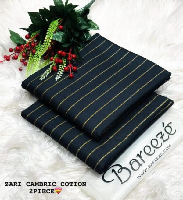 2 Pcs Women's Unstitched Printed Suit